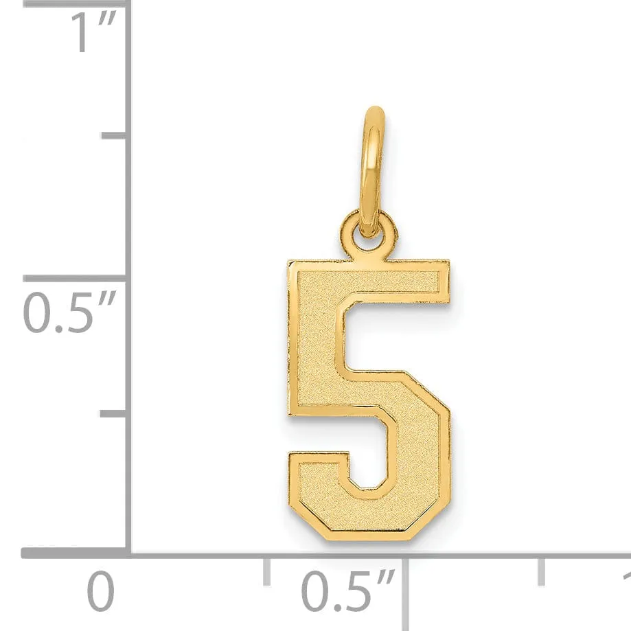 14k Yellow Gold Satin Brush Finish Small Size Number 5 Charm Pendant