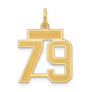 14k Yellow Gold Satin Brush Finish Small Size Number 79 Charm Pendant