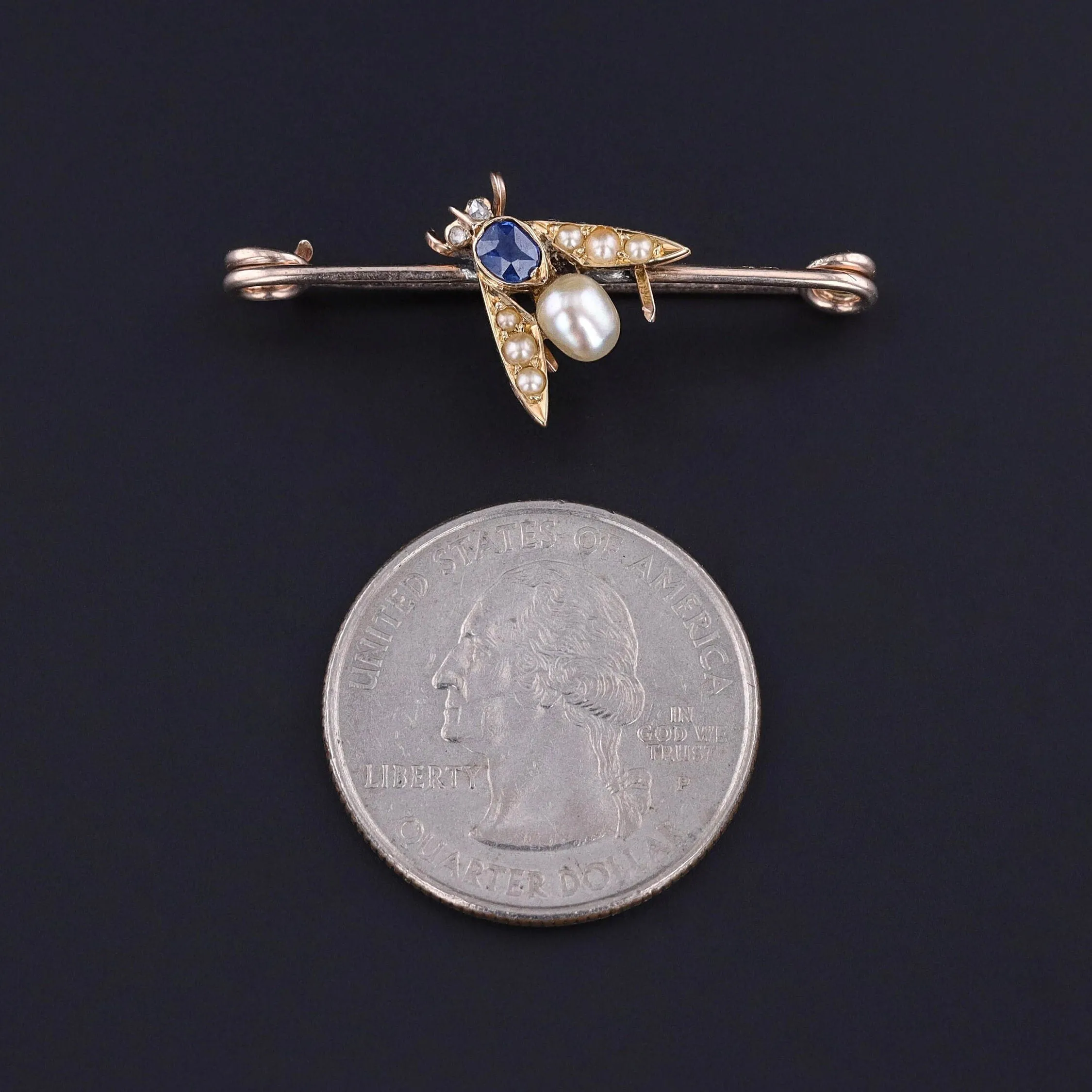 Antique Insect Brooch of 14k Gold