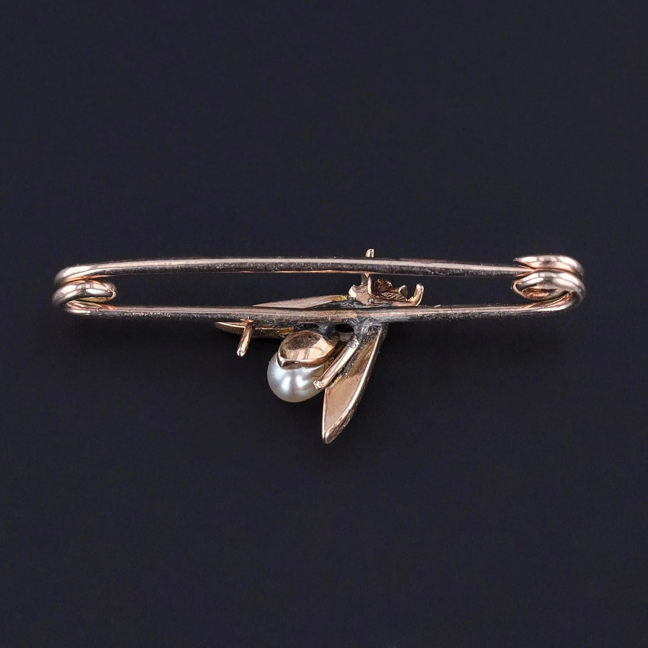 Antique Insect Brooch of 14k Gold