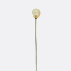 Antique Natural Pearl Stick Pin