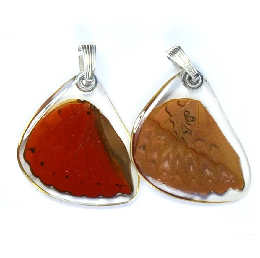 Butterfly wing pendant ONLY, Cymothoe Sangaris, bottom wing