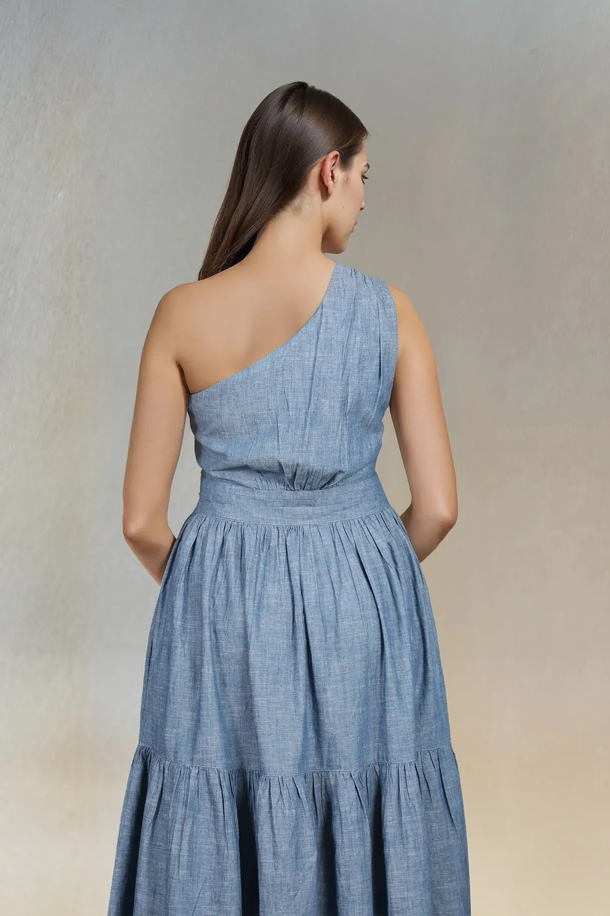 Chambray Dress