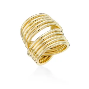 Continuum ring