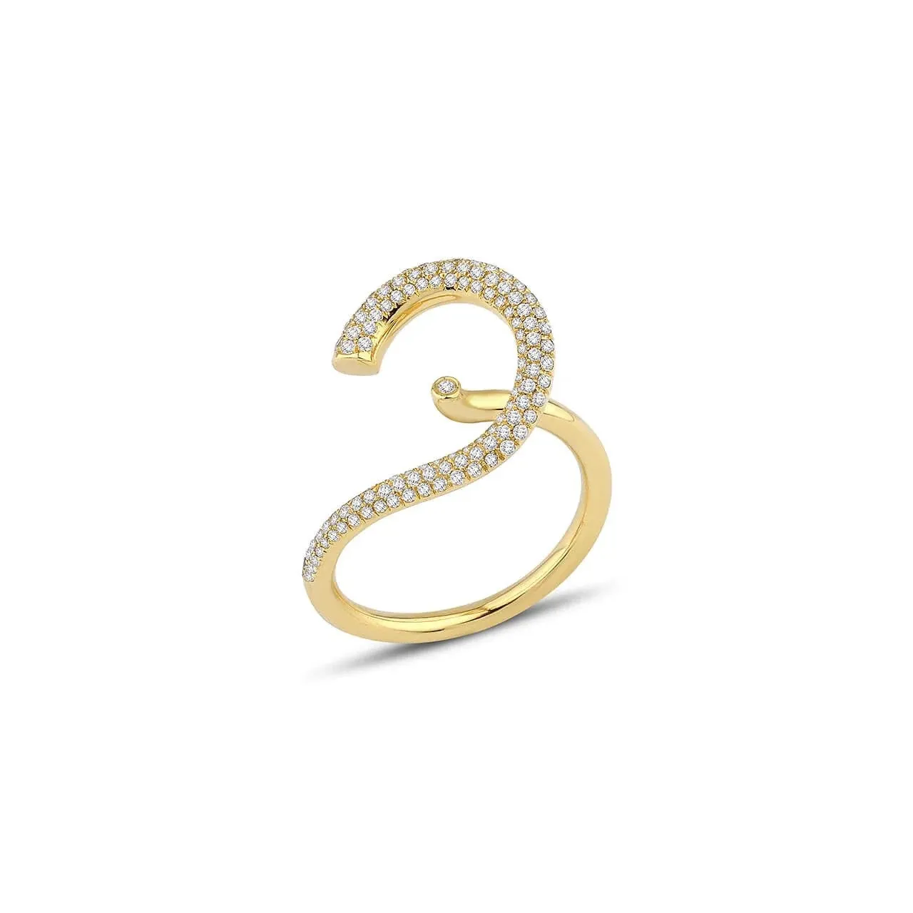 Cosmic Ring