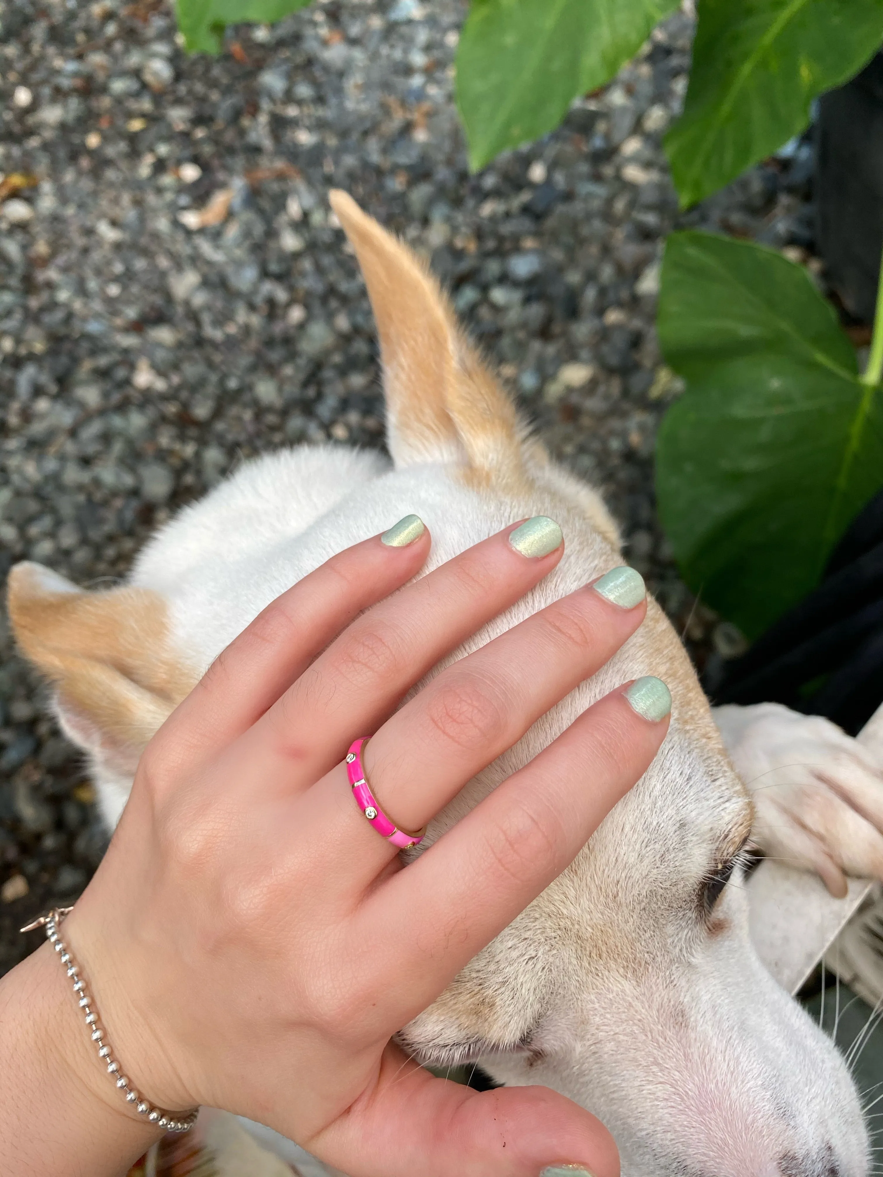 Icarus Enamel Ombré Ring