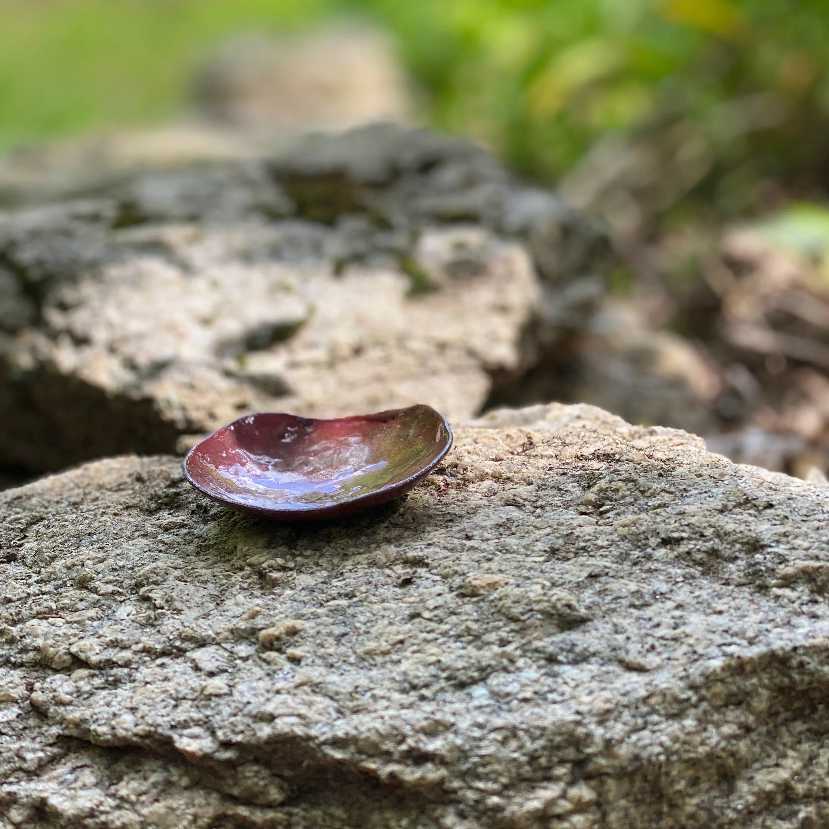 Jewelry Bowl 8