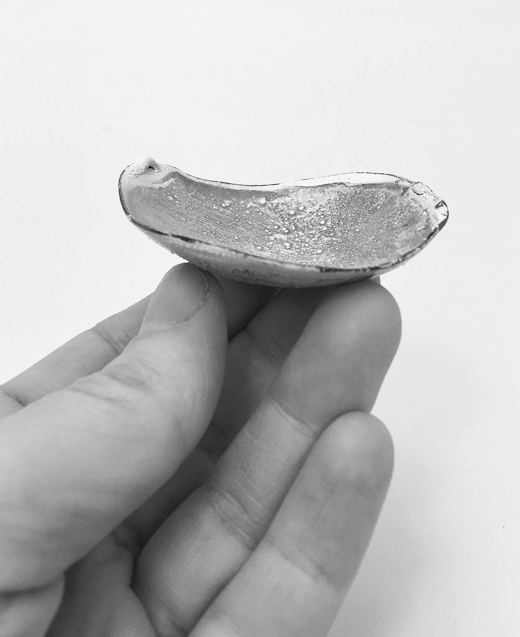 Jewelry Bowl (Artist Pick)