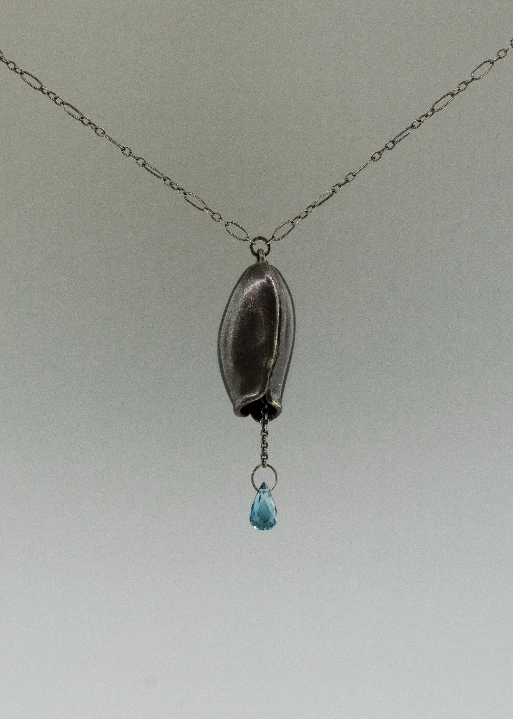 Long pod and Blue topaz necklace