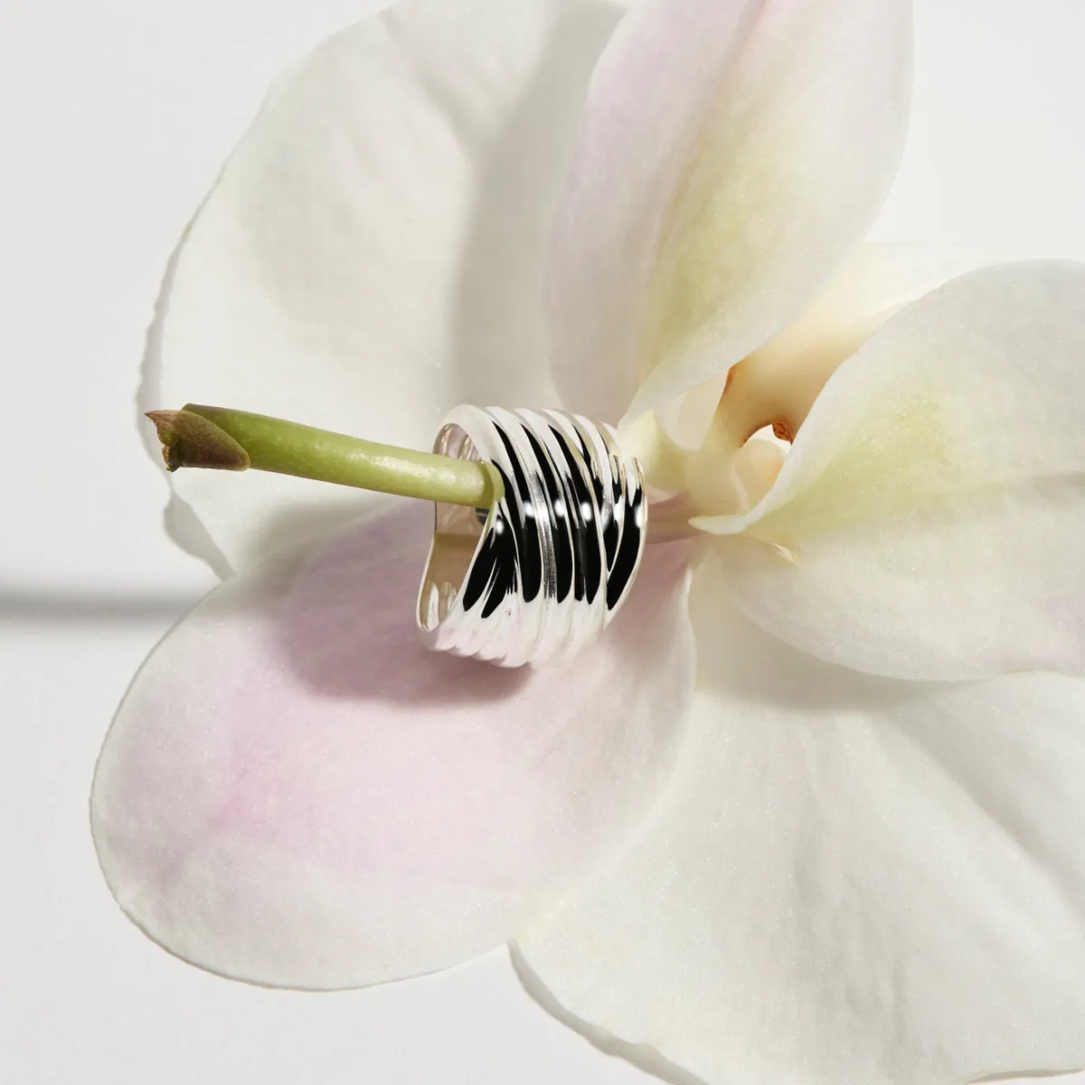 Najo R7020 Murmur Silver Ring