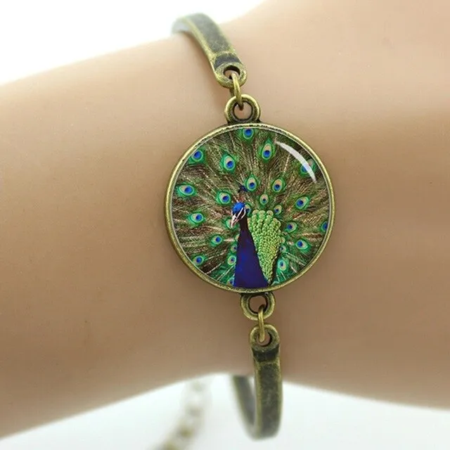 Peacock feather picture bracelet charm colorful feather steampunk Peacock Bird women's accessories mothers day jewelry gift T758