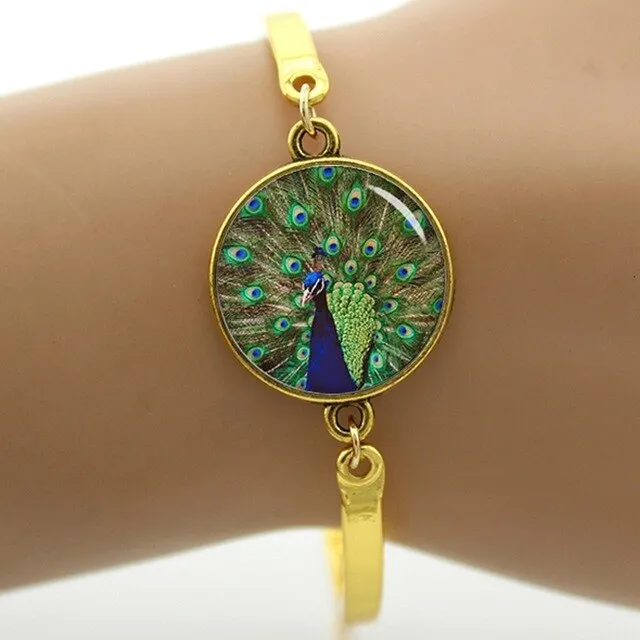 Peacock feather picture bracelet charm colorful feather steampunk Peacock Bird women's accessories mothers day jewelry gift T758