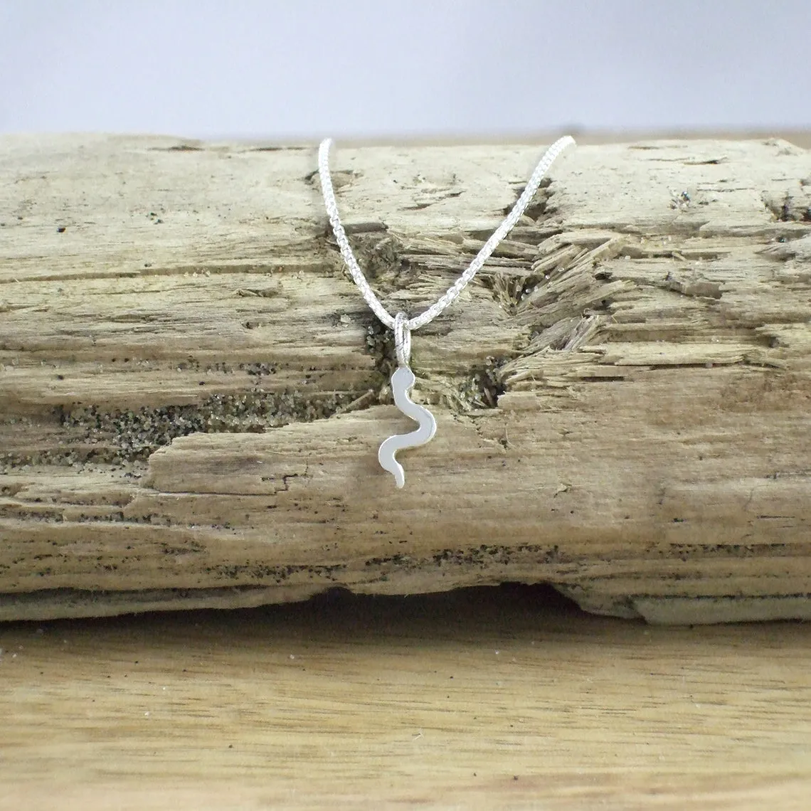 Pequeño Snake Pendant
