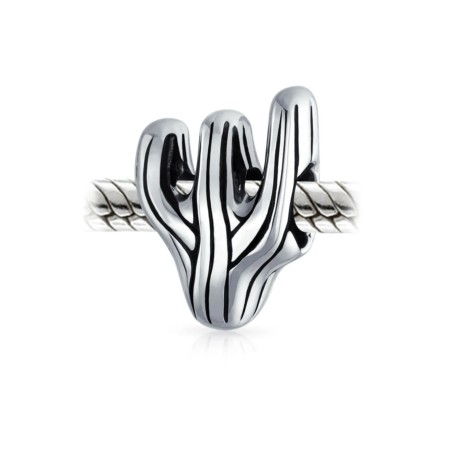 Set of 2 Black Movie Star Sunglasses and Sonoran Desert Cactus Charm Bead Silver