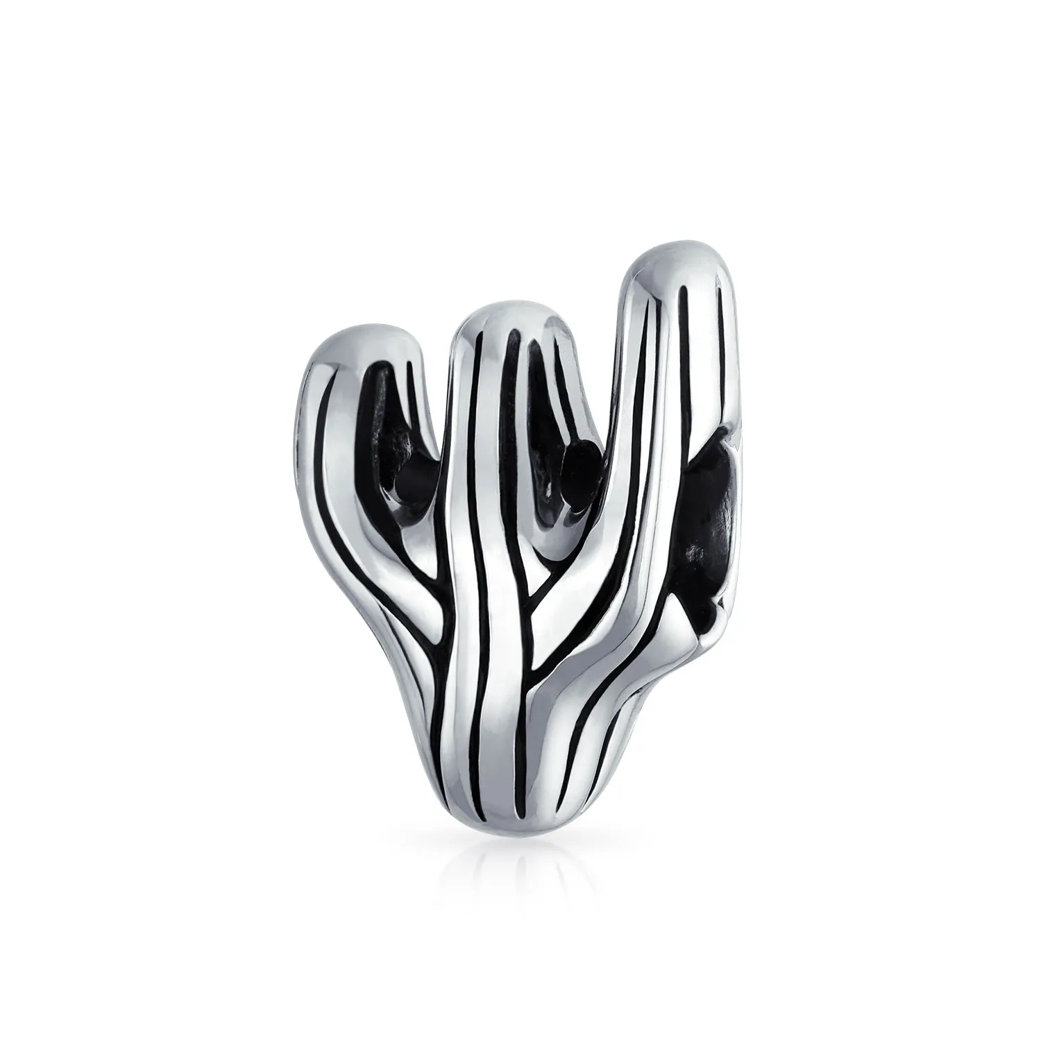 Set of 2 Black Movie Star Sunglasses and Sonoran Desert Cactus Charm Bead Silver