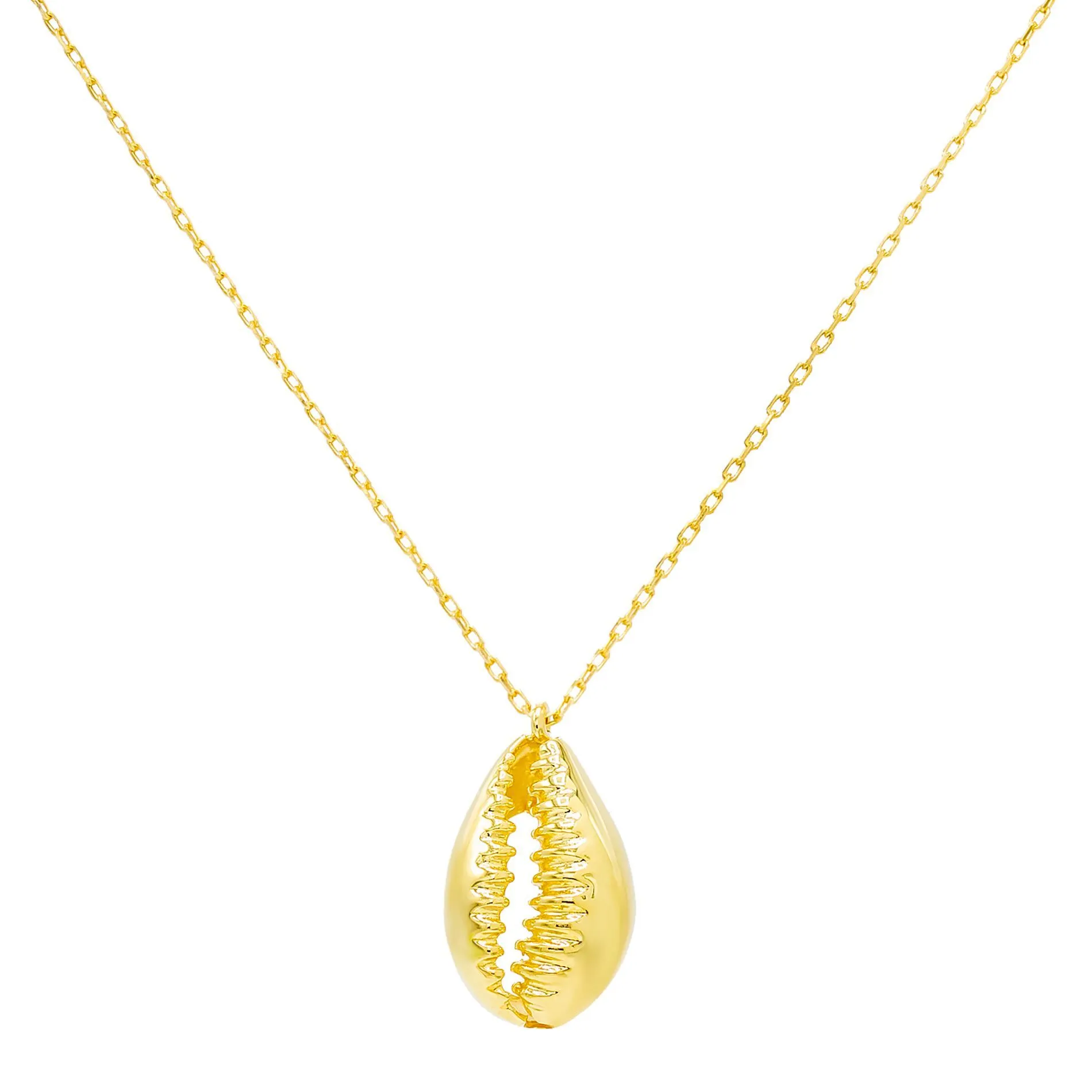 Shell Necklace