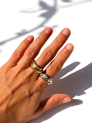 The River Ring // 02