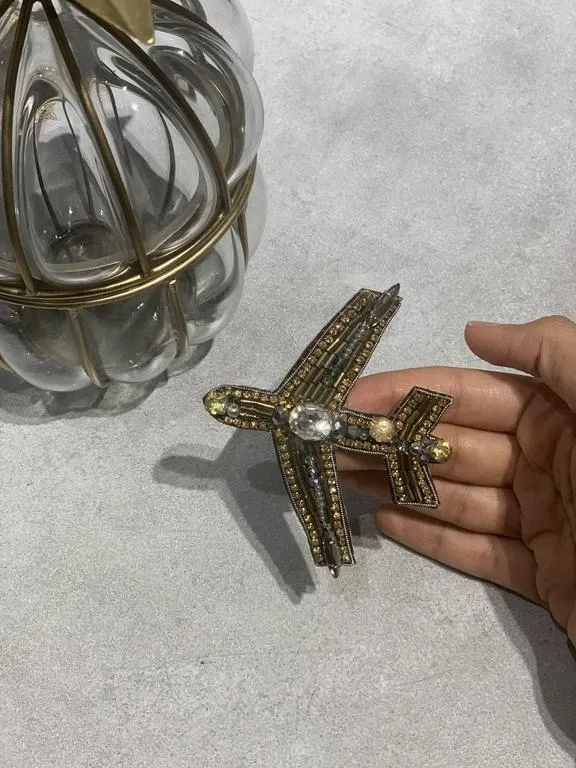 the travelling plane brooch